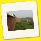 D17 Agra2 (23).jpg